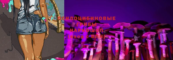 мяу мяу мука Алексин