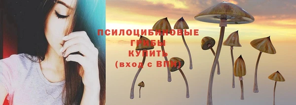 меф Алексеевка