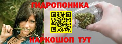 шишки Ногинск