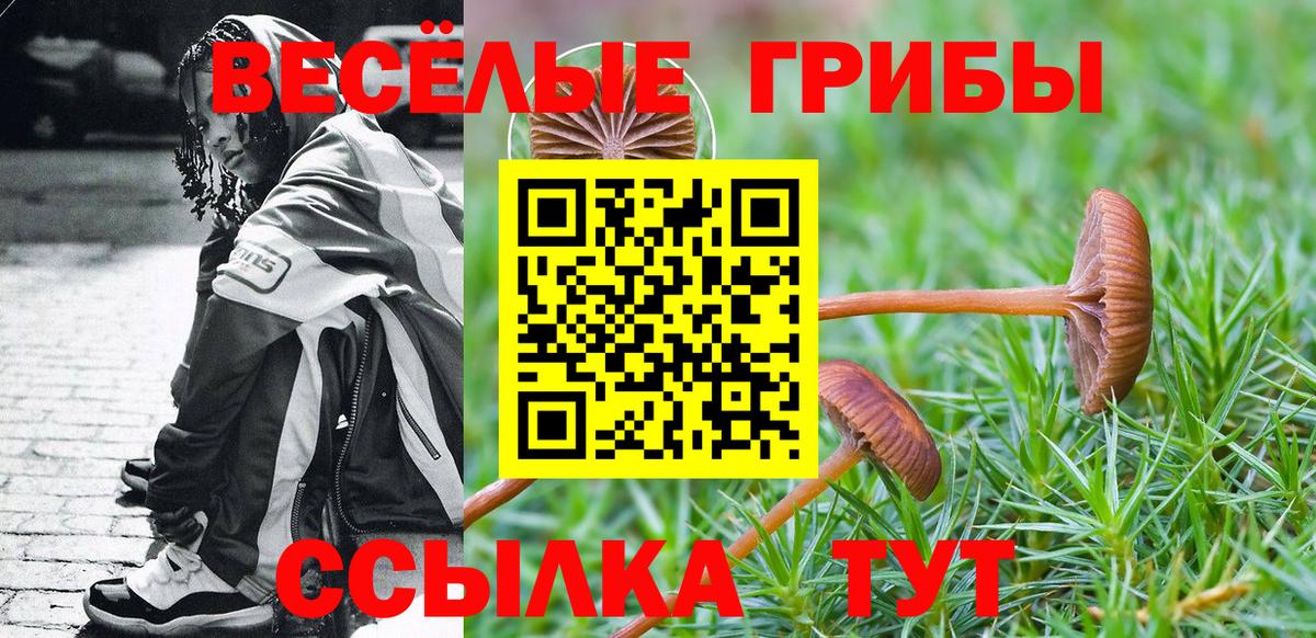 Псилоцибиновые грибы Psilocybine cubensis Лесной