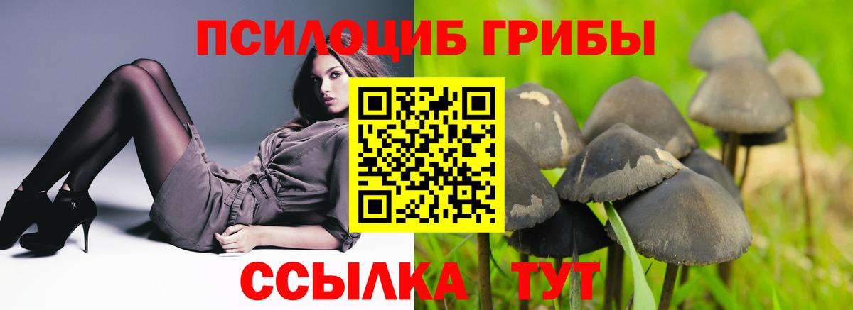 Лесной  Псилоцибиновые грибы мицелий  Вход с VPN 