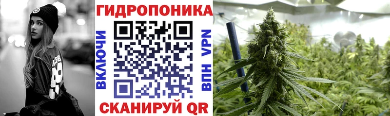 цены blacksprut рабочий сайт Канабис семена Лесной