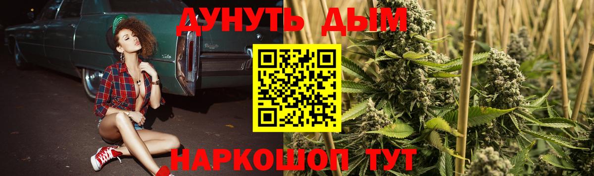 Канабис сатива  Вход с VPN  Бошки марихуана Bruce Banner  Канабис THC 21%  Лесной 